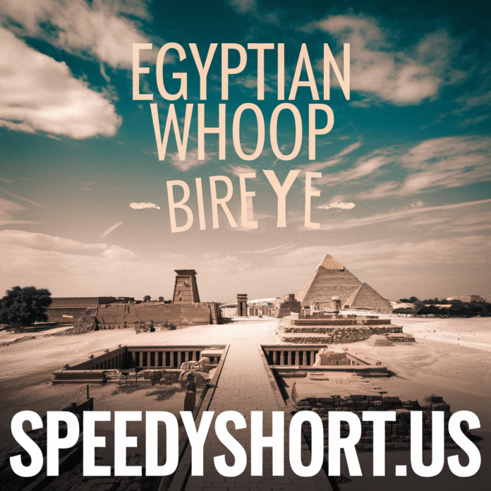 egyptian whoop bird eye