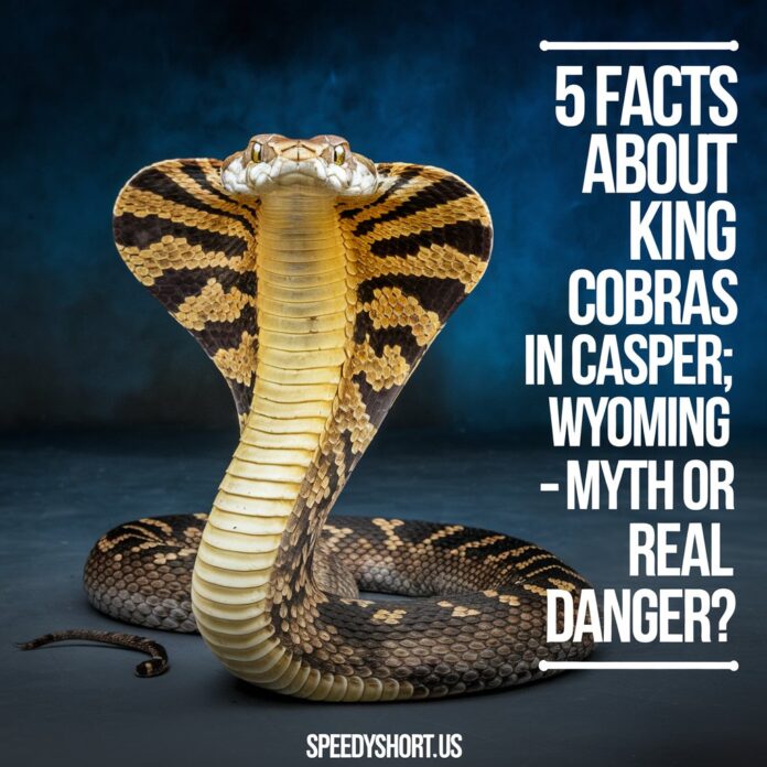 king cobras casper wyoming